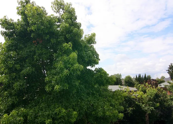 Moderne In Mahlsdorf *