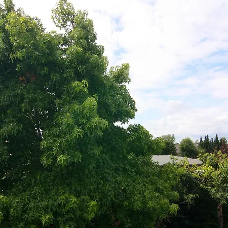 Moderne In Mahlsdorf *