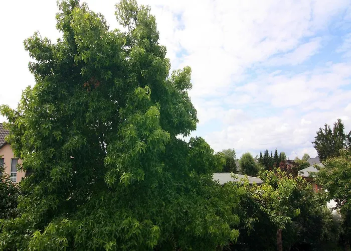 Appartamento Moderne In Mahlsdorf